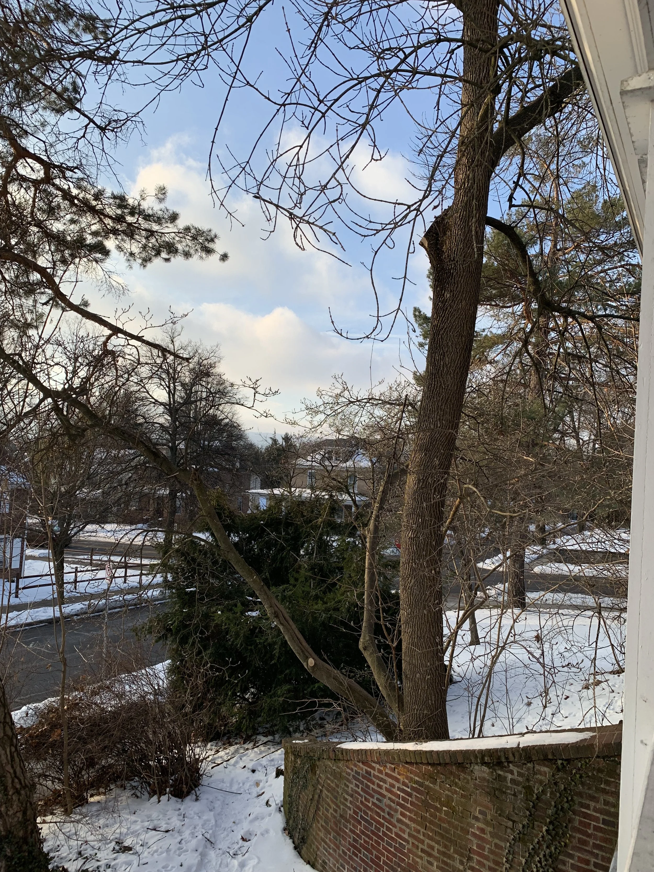  Feb. 2022 - Ash tree removal from side yard - tree was diseased and was in declining health.  Large sections had broken off snd the remaining tree was leaning towards the house and could cause damage when it fell 