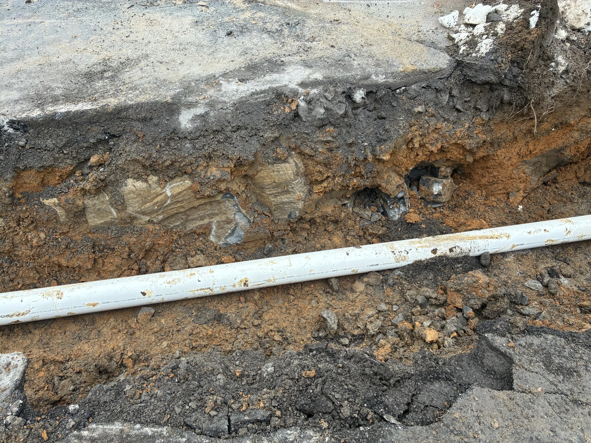 2026-2-sewer-07.jpeg