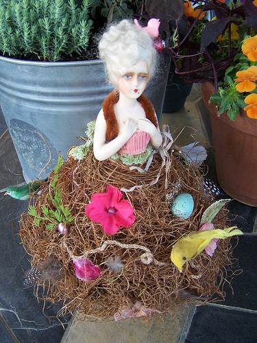 Lady Bowerbird