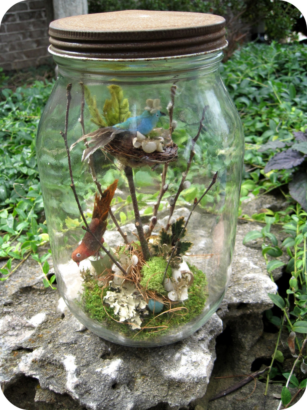 Two Birds in a Jar
