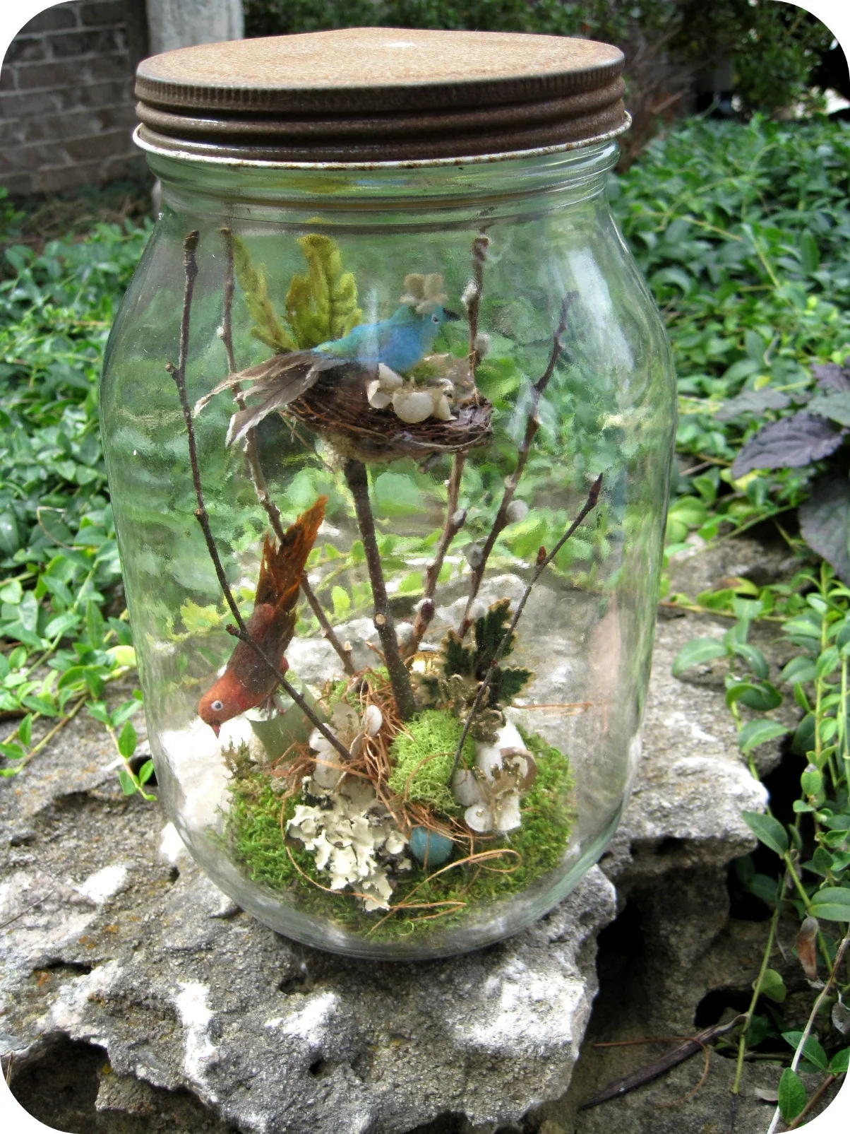 Two Birds in a Jar