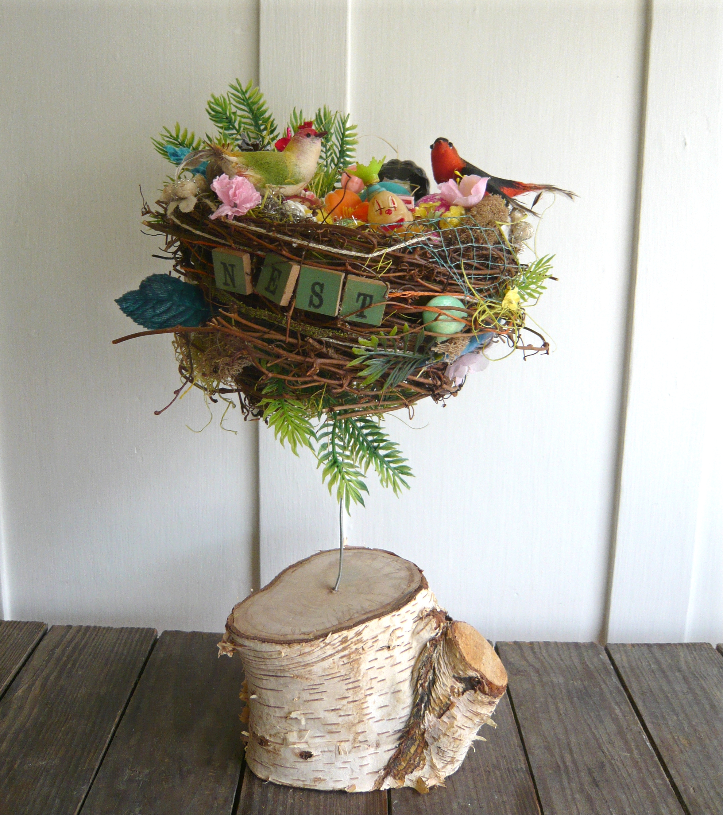Circus Nest