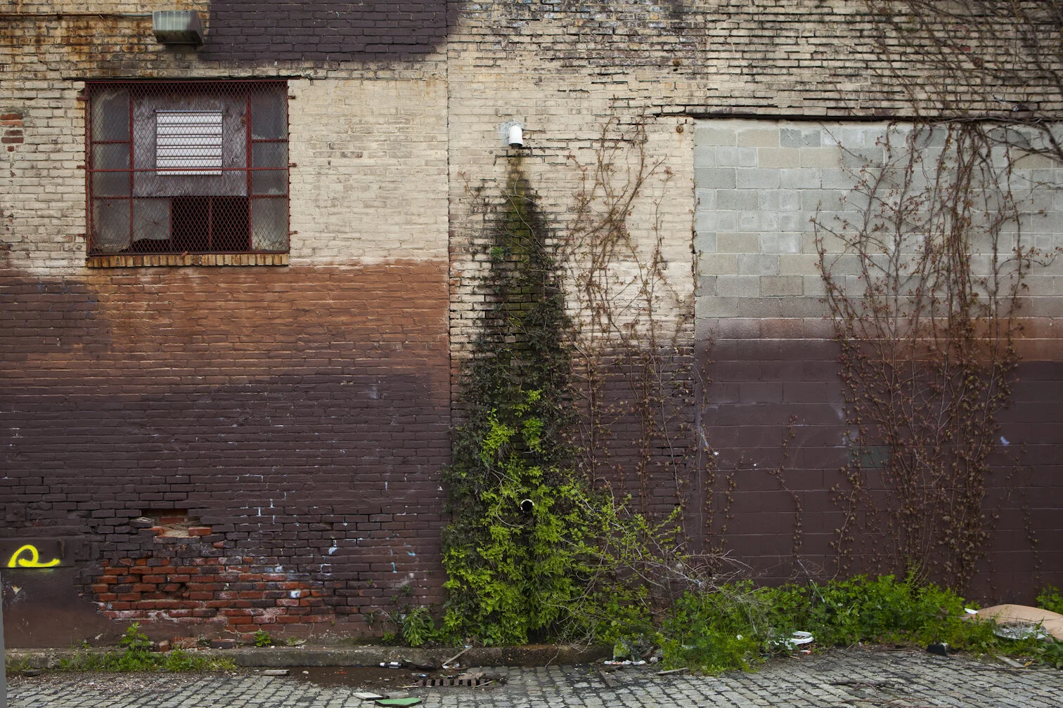 untitled-42.jpg