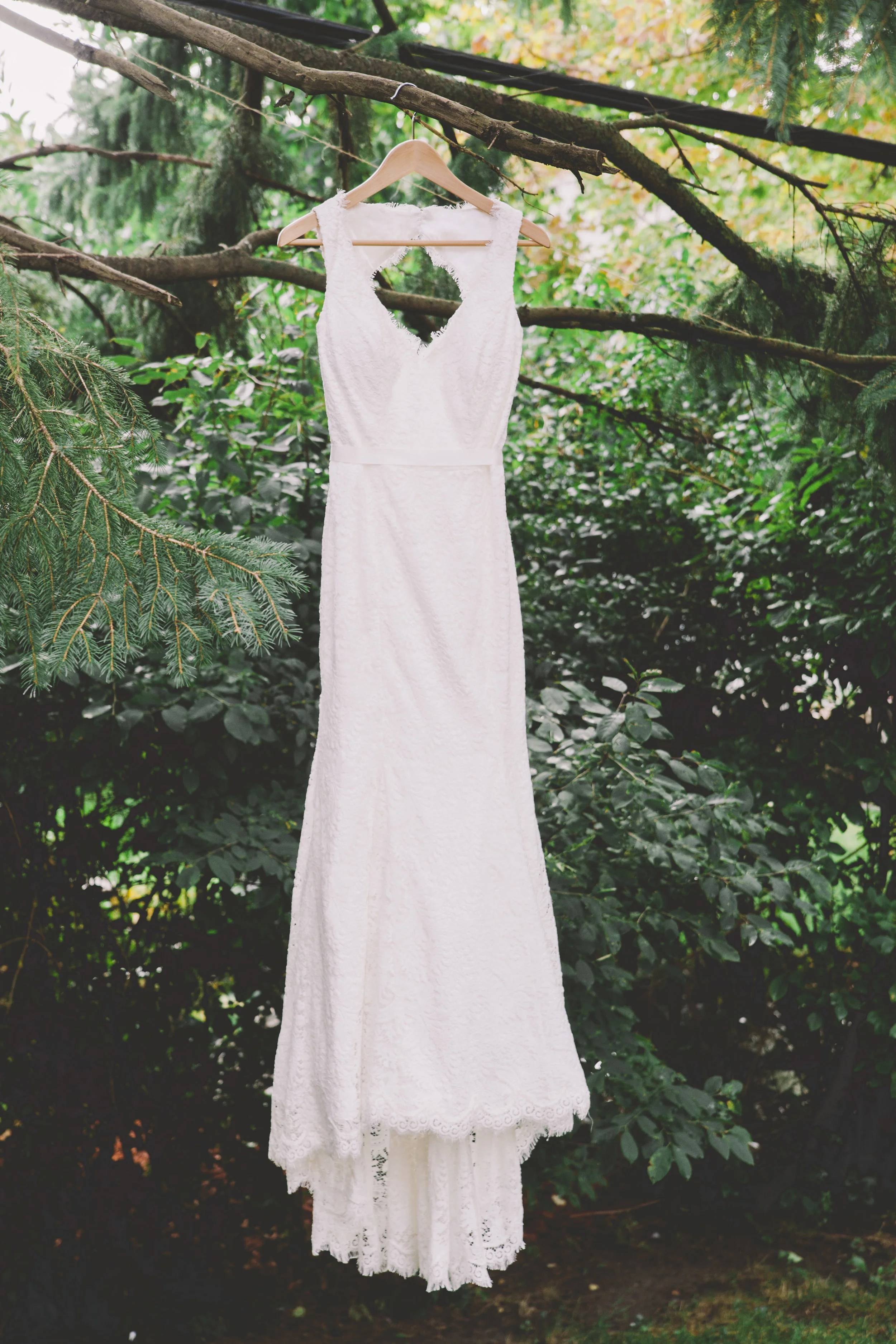 Wedding dress hanging from a tree