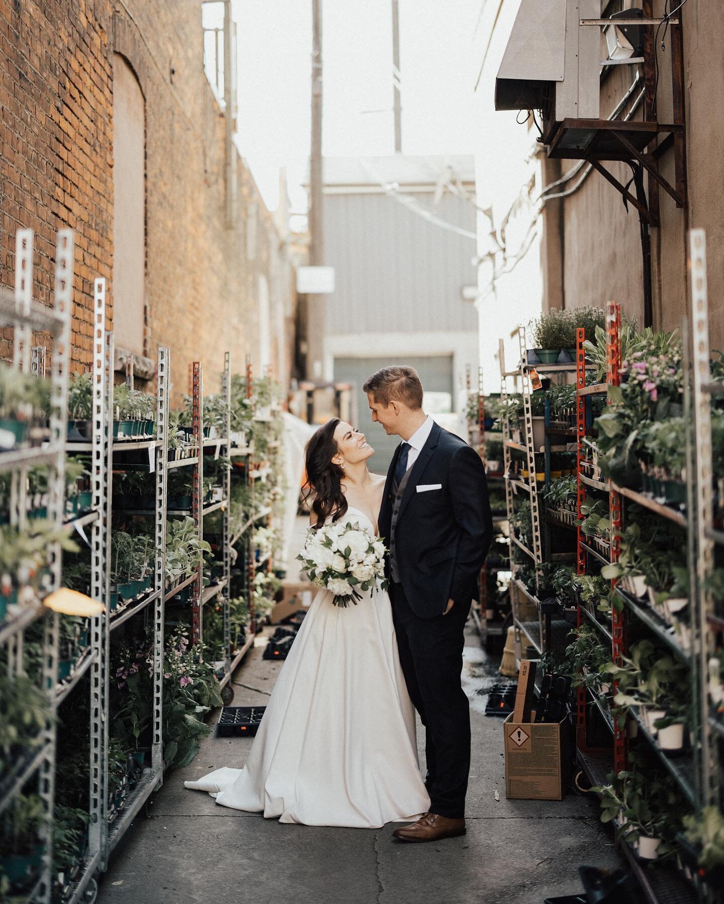 Caption from Van:

Wait why are there plants? I think he&rsquo;s saying &ldquo;do you want to do a kiss?&rdquo; and she says &ldquo;not outside&rdquo;. I&rsquo;m watching Larva now.