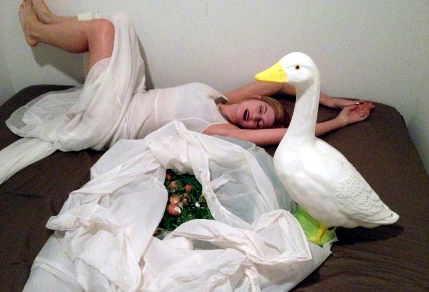 quackulaspectacula.jpg