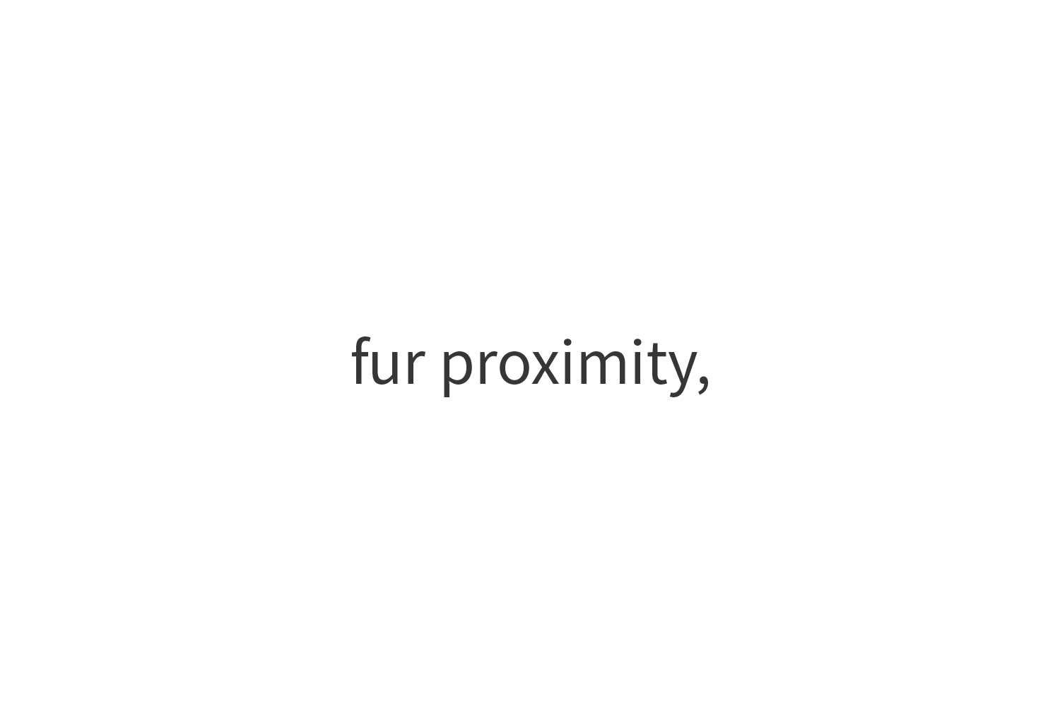 rabbit-fur-23.jpg