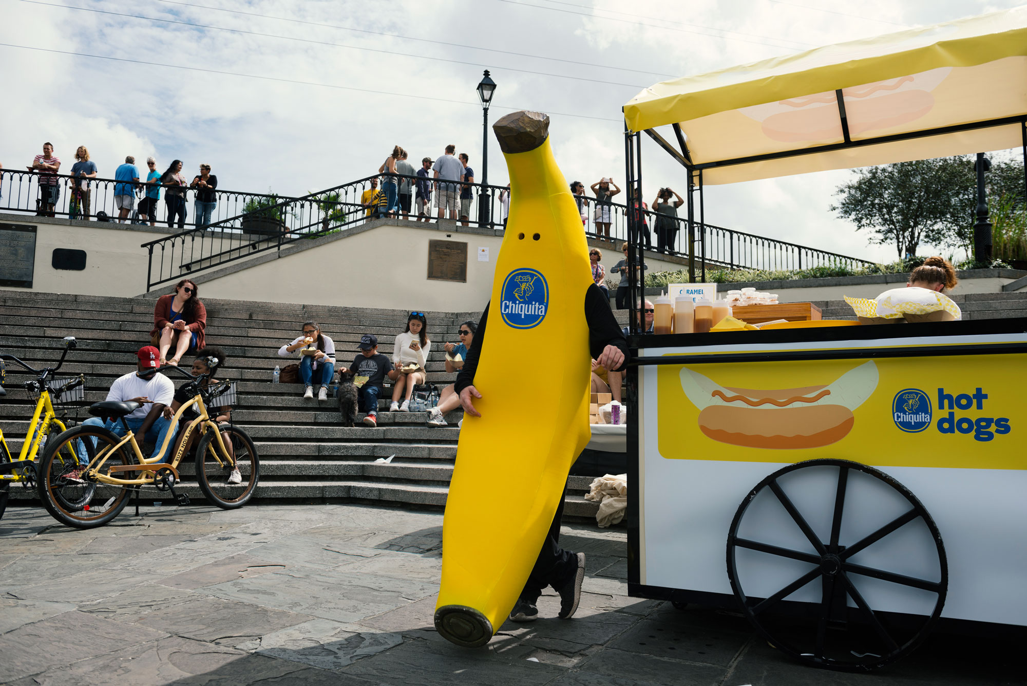 Chiquita_PMA-4699.jpg
