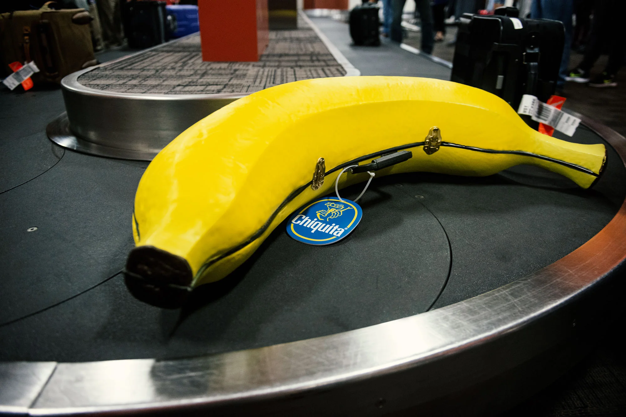 Chiquita-2225.jpg
