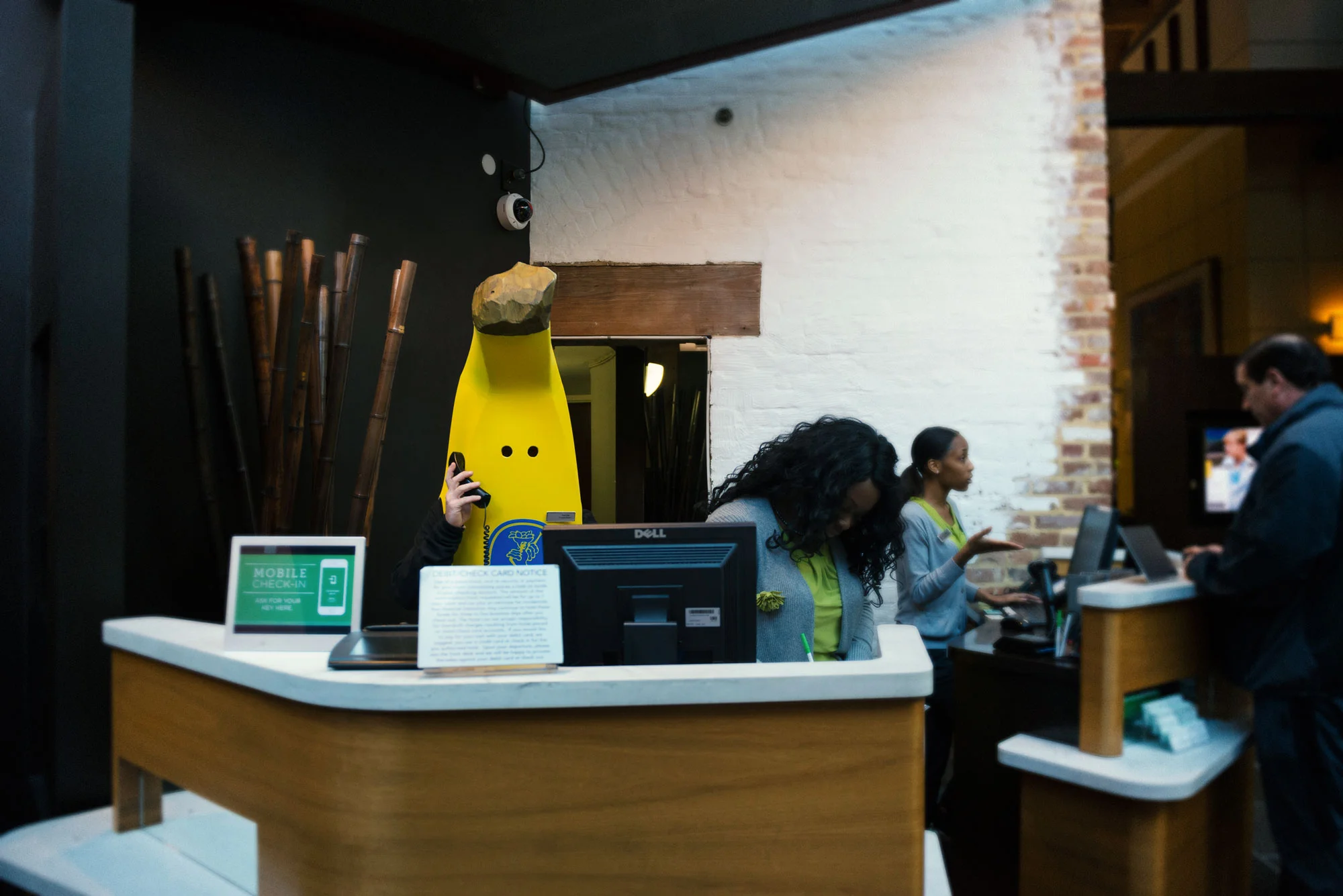Chiquita-3064.jpg