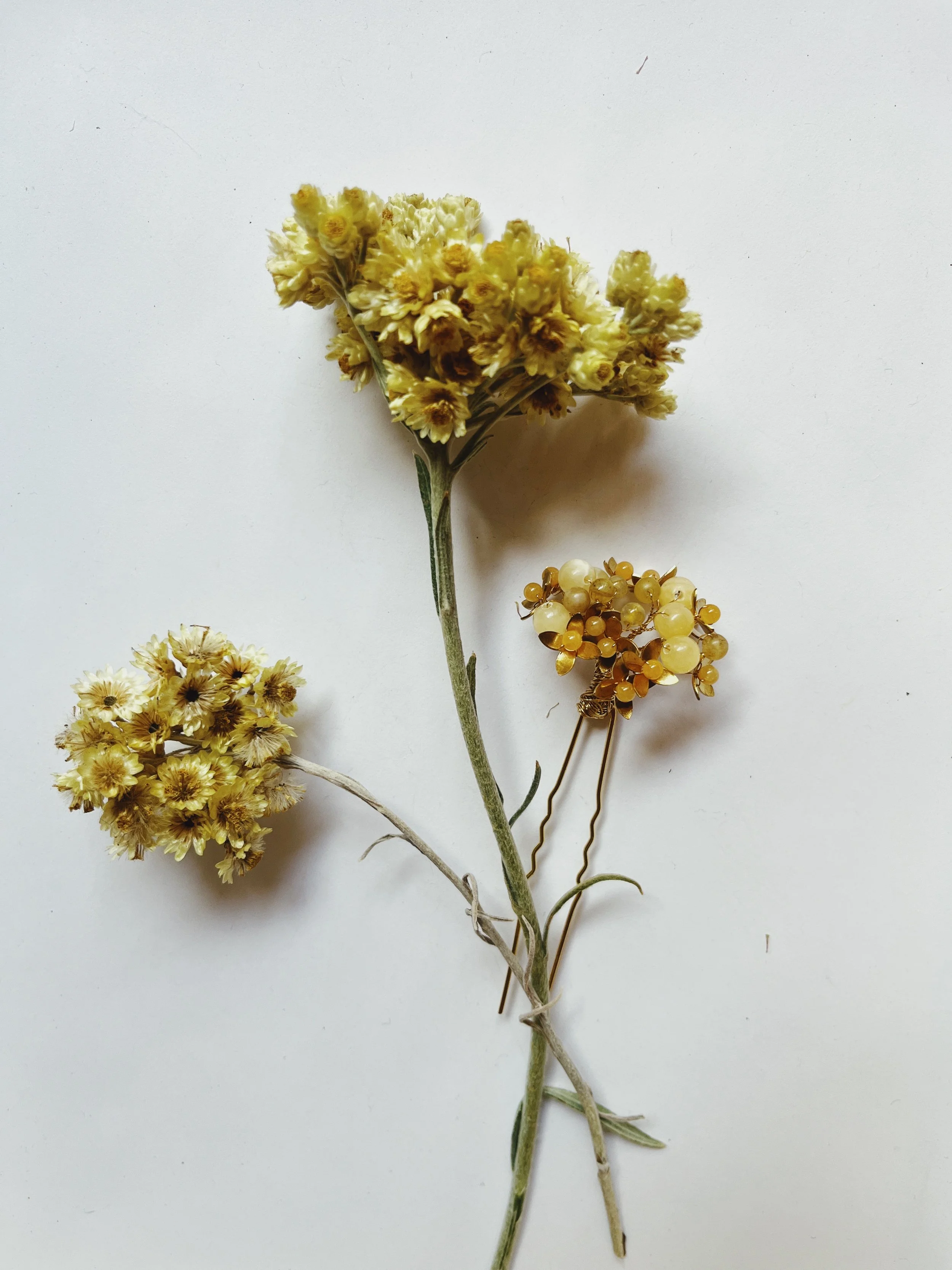 photo_VSCO 2.JPG