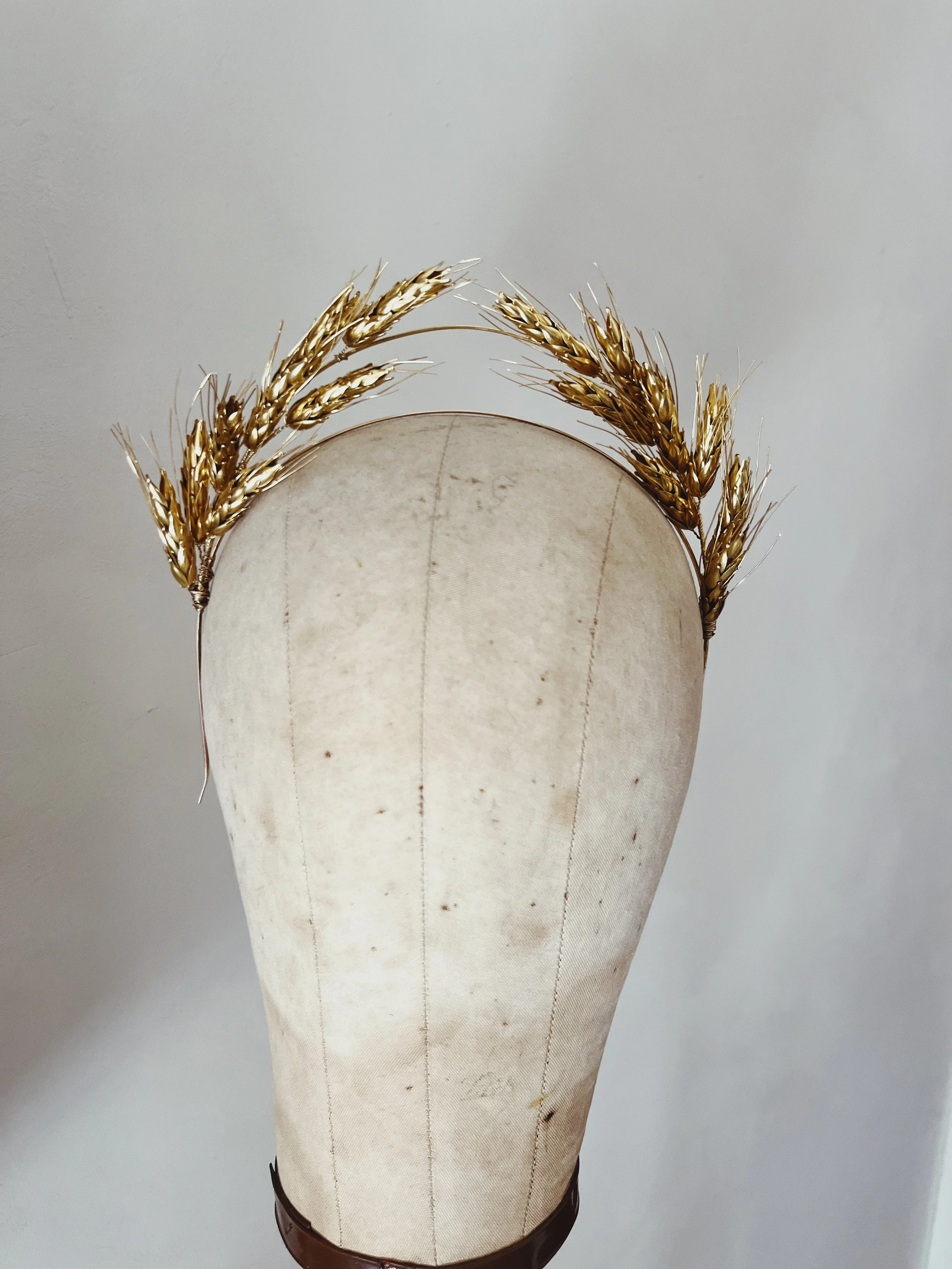 photo_VSCO 14.JPG