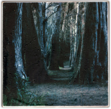 Encaustic-Trees.jpg