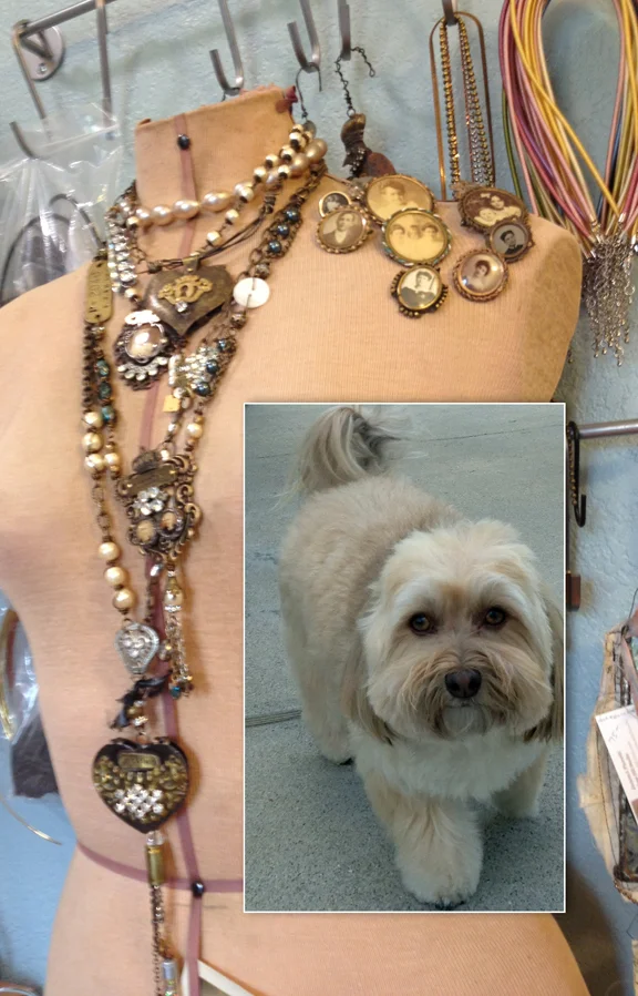 Laden mannequin in Riki's studio and her adorable Havanese, Mattie (inset).