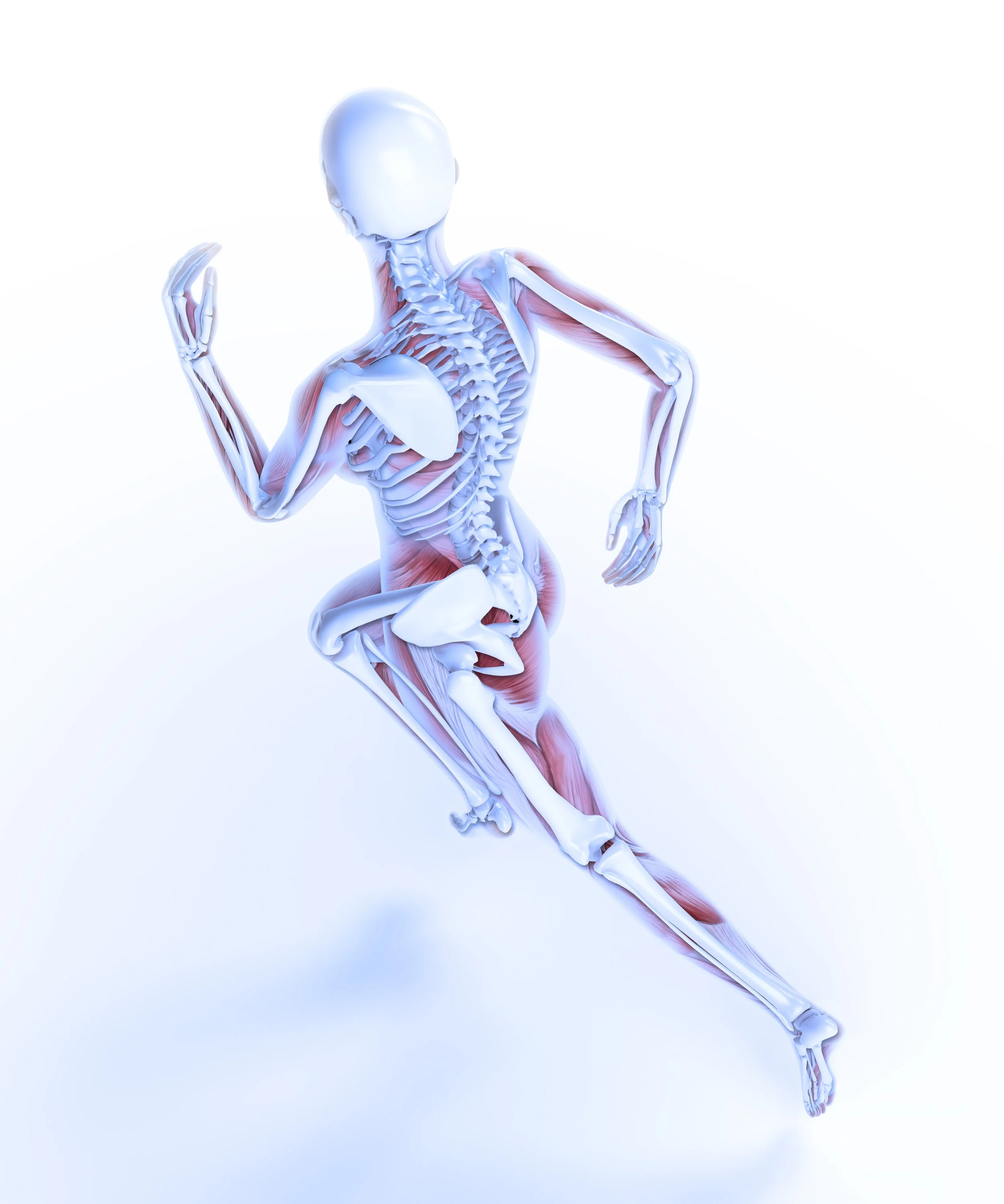 shutterstock_190002827.jpg