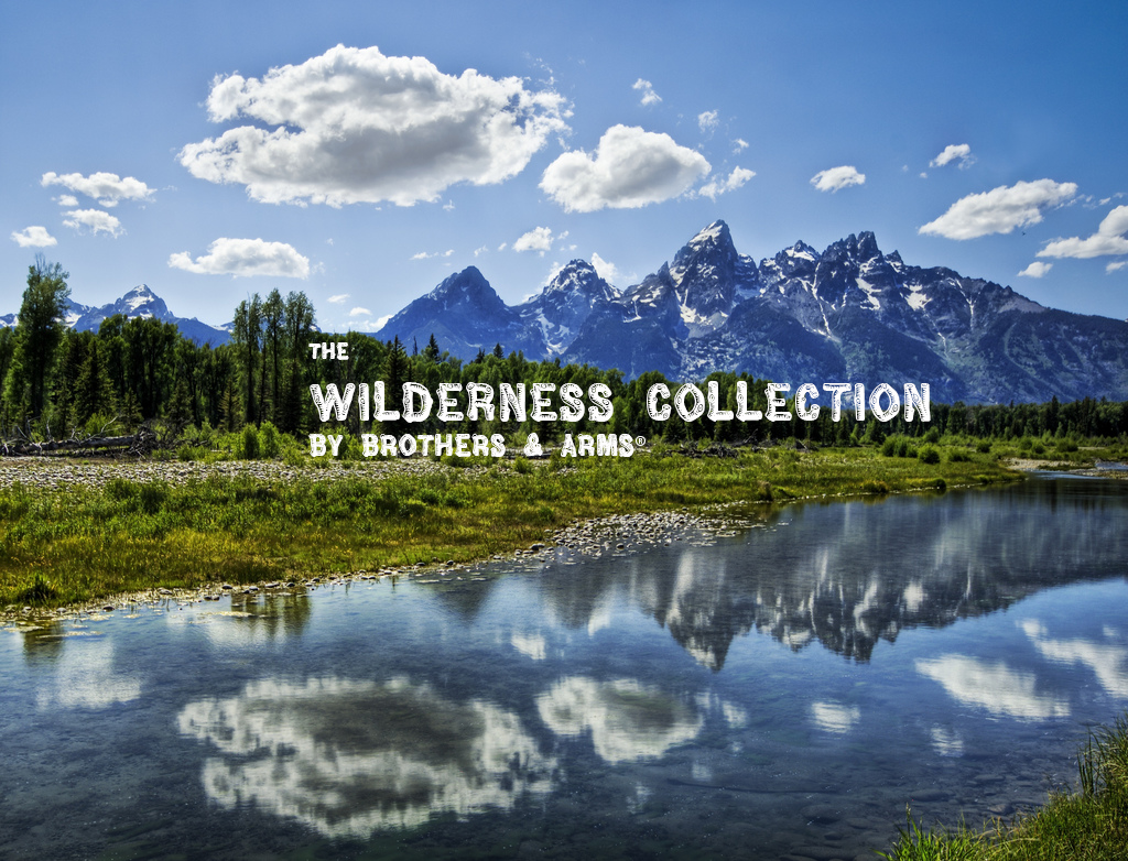 the wilderness collection.png