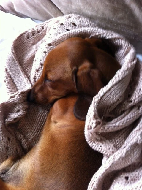 Hudson sleeping cardigan.JPG