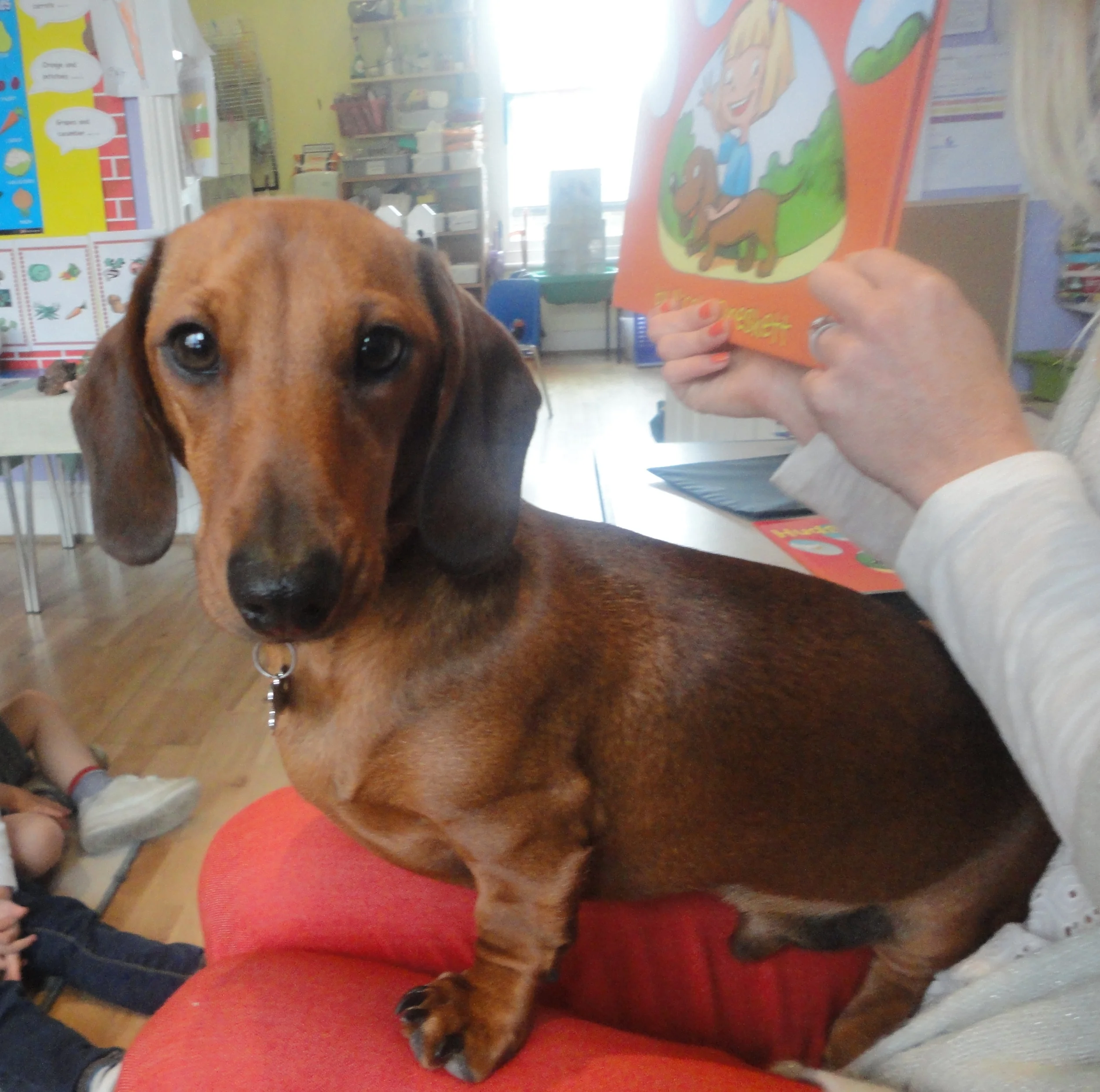 hudson reading on my lap.JPG