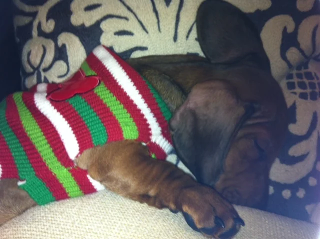 first xmas jumper.JPG