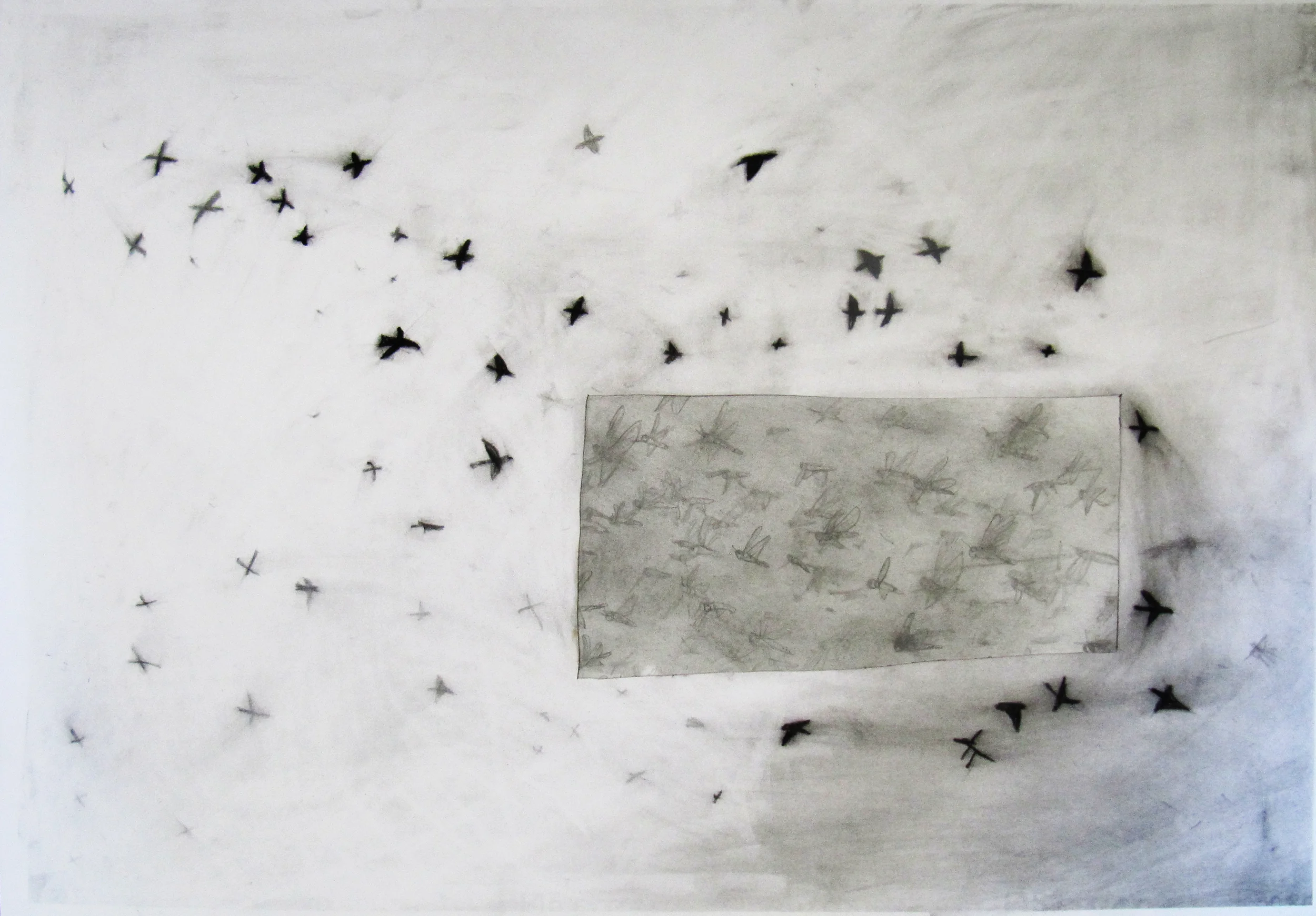 Collective Nouns; Charcoal and Graphite on Paper, 50 x 70 cm