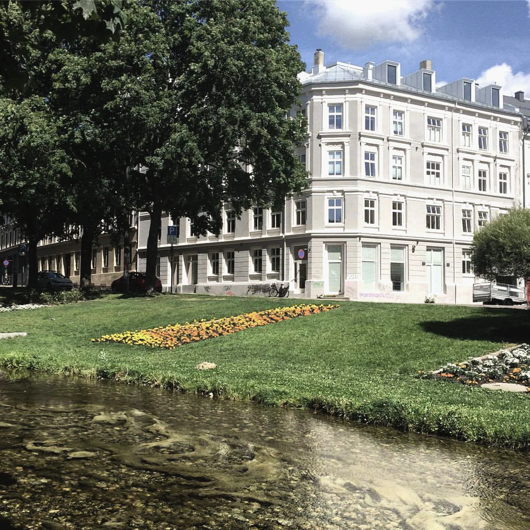 20507657_1591494460868791_5332926777198775984_o copy.jpg