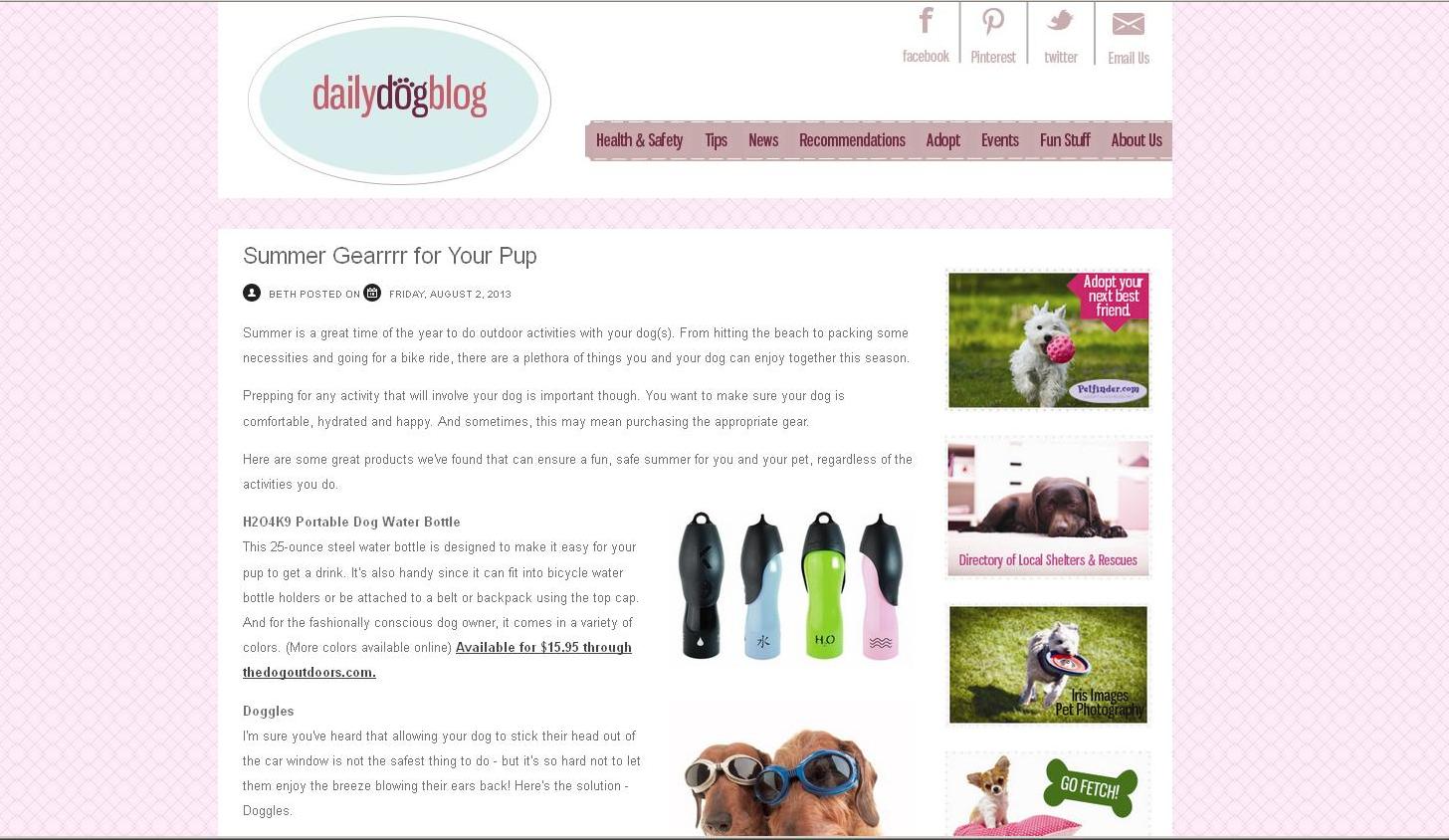 Daily Dog Blog: Logo and Blog Layout