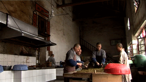 ALMS_dv_stills_web-3108.gif