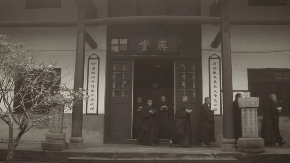 zhaitang_01 - Version 2 (1).jpg