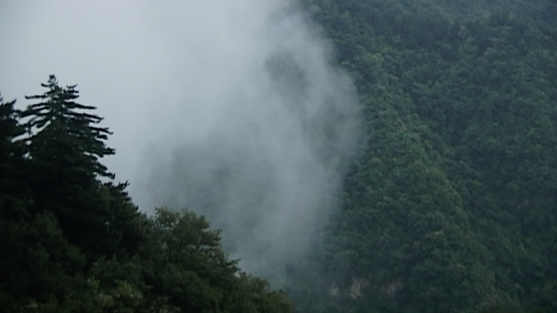 TMP_mts_cloud_valley_pines.png