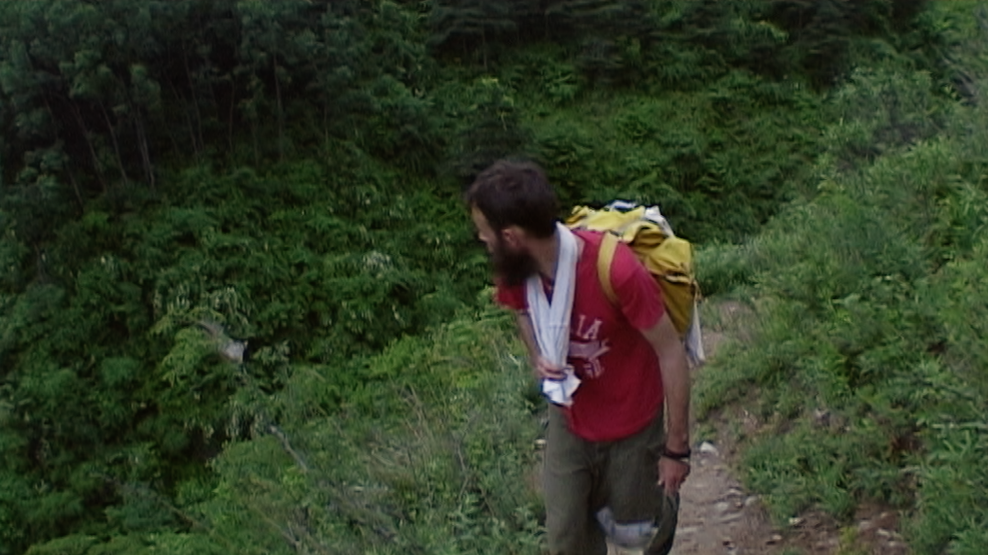 TMP_ted_steeptrail_02.png