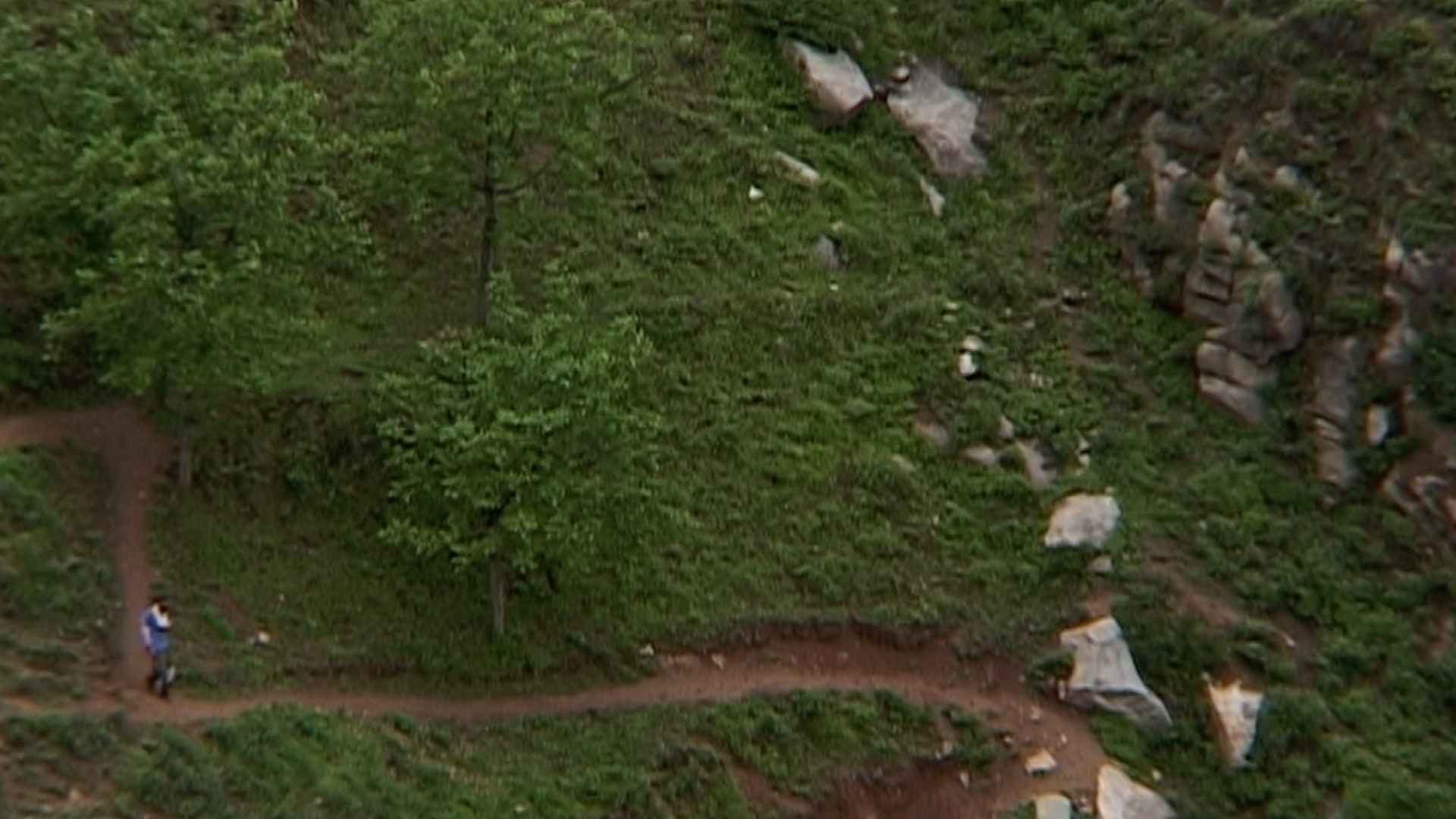 TMP_ted_trail_down_02.png