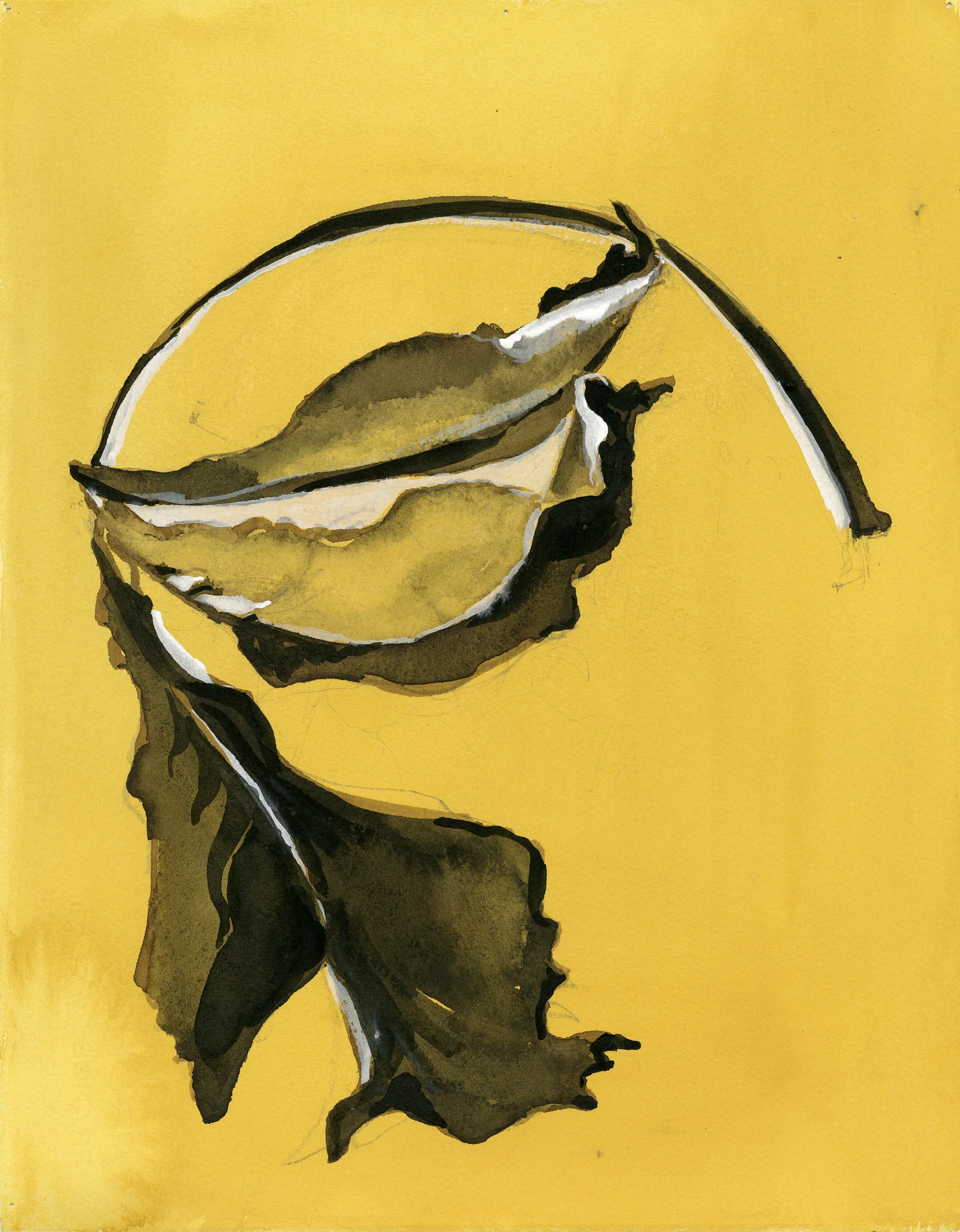 natura morte 0020 2014