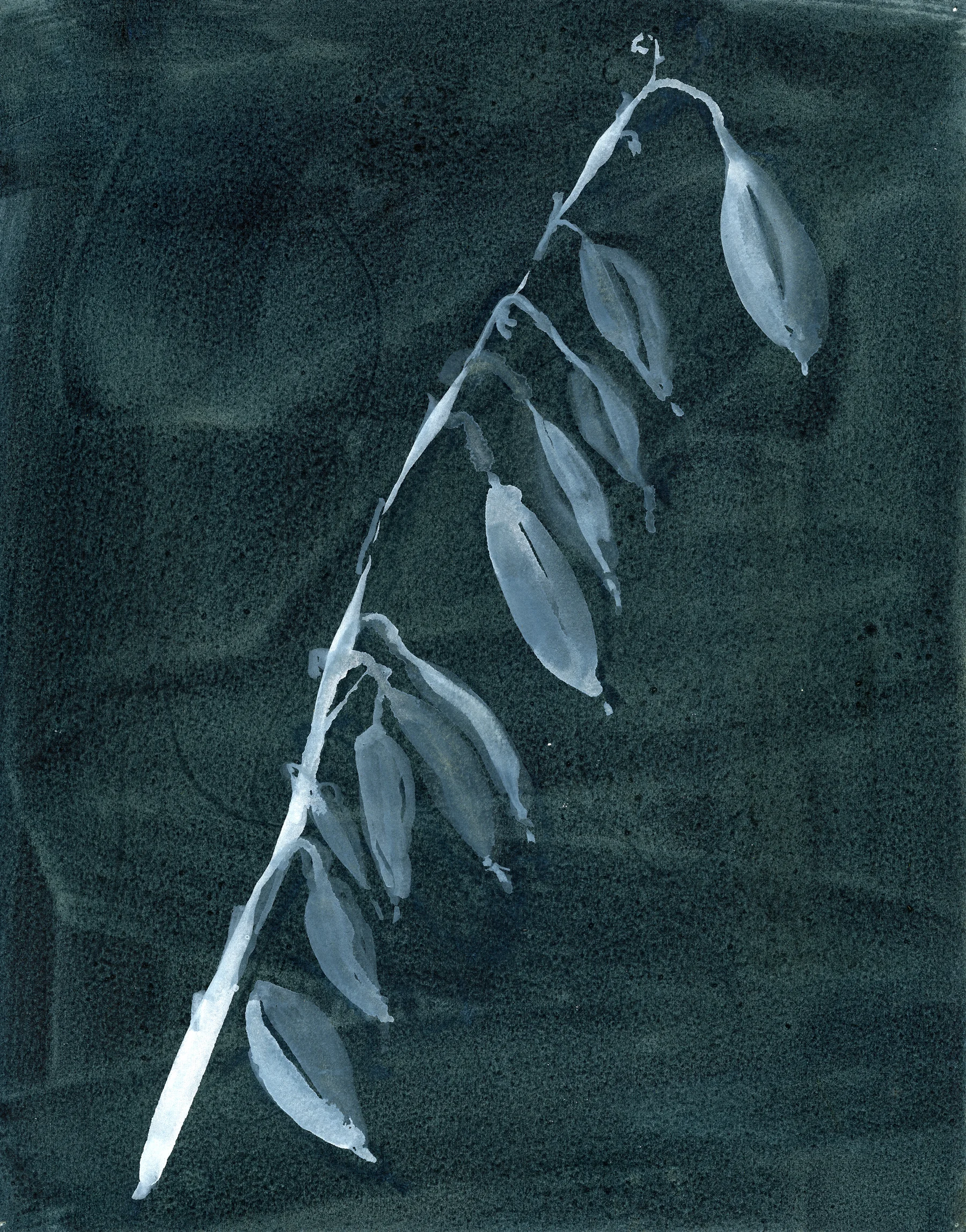 natura morte 0040 2014