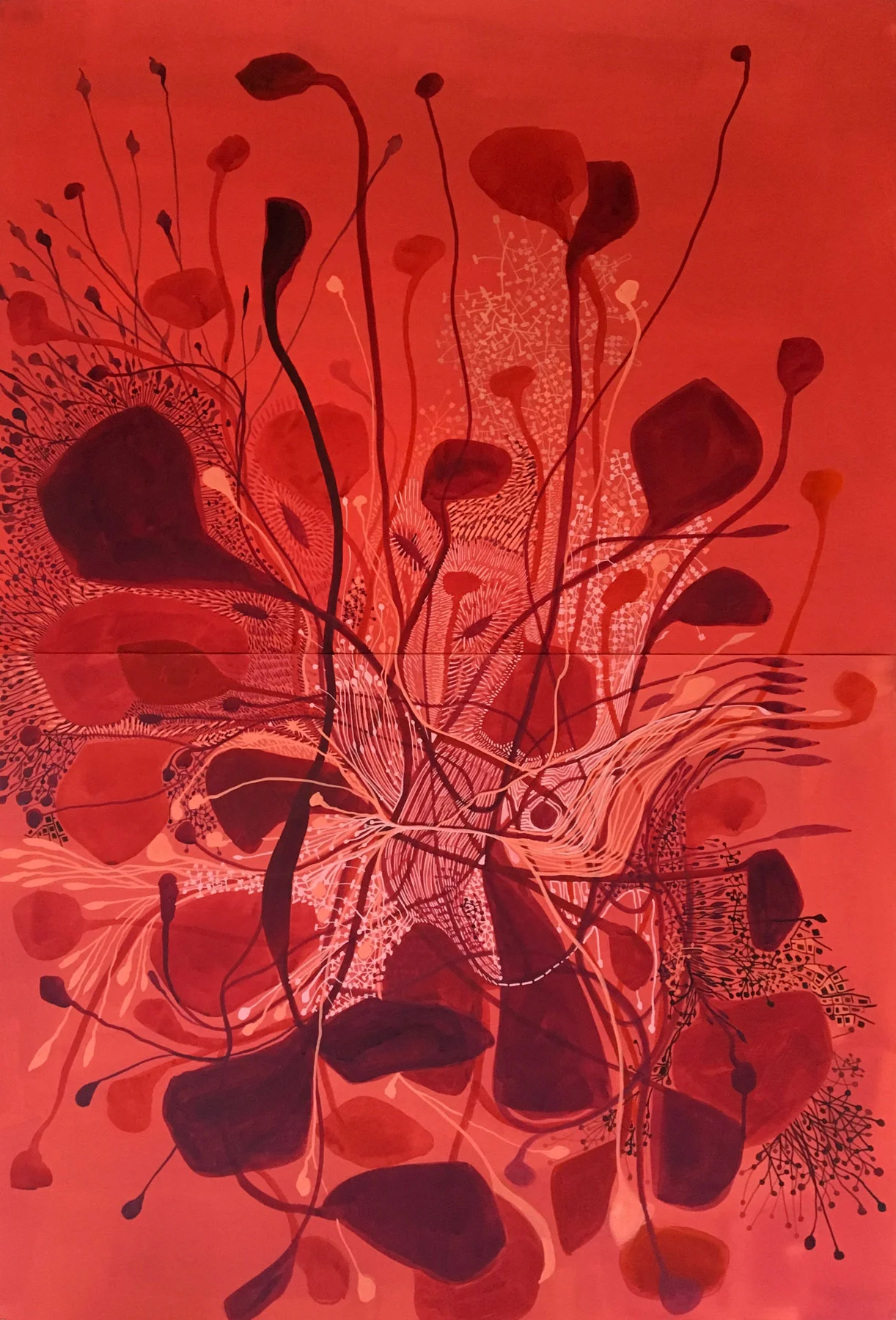 navigating the cerebral mindfield