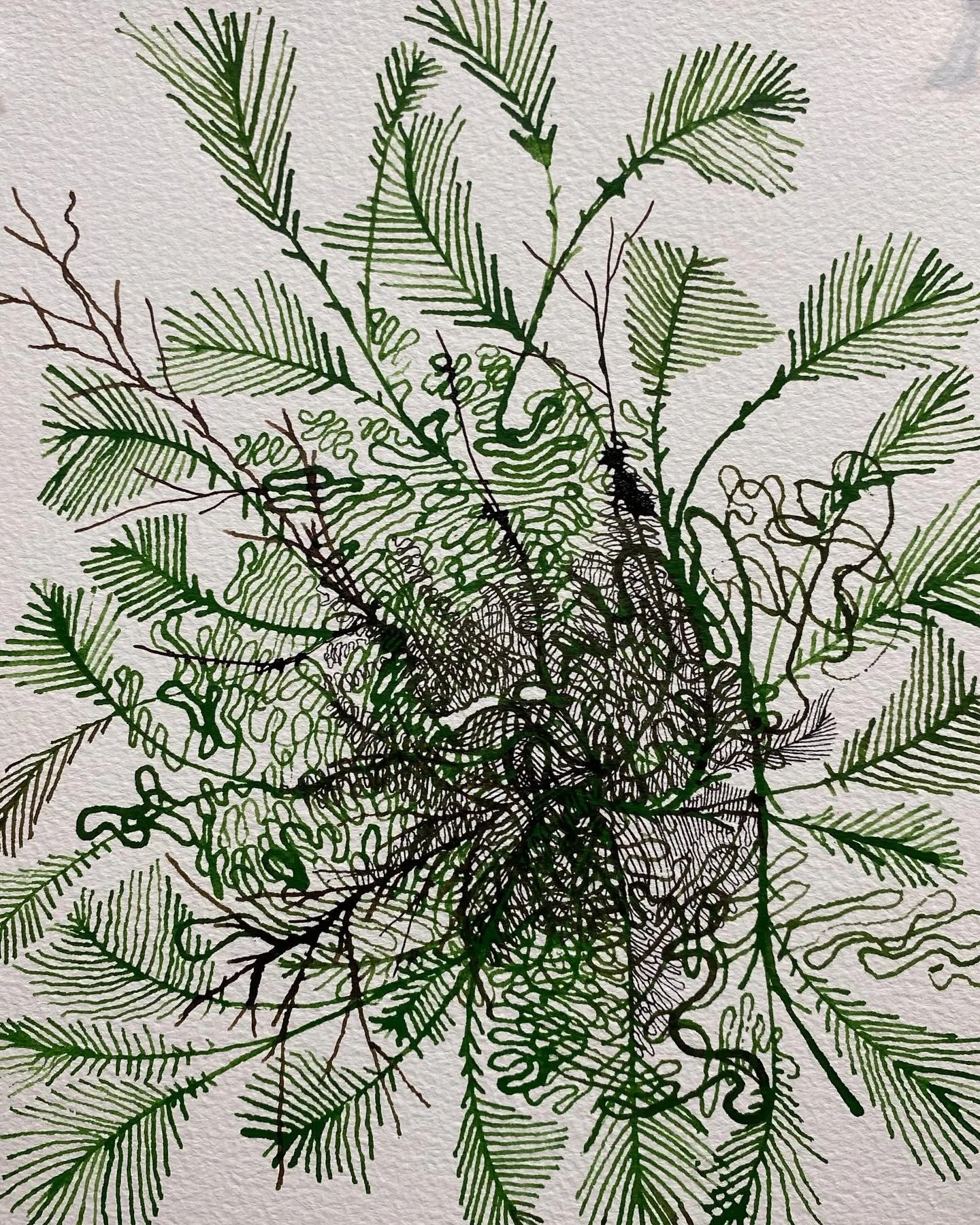 north branch no. 2, 2024, 15 x 11 inches, ink on paper. (Copy)