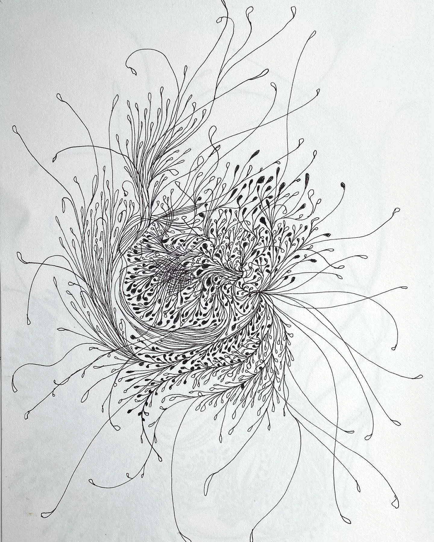 north branch no. 9, 2024, 15 x 11 inches, Walnut and black ink on paper. (Copy)