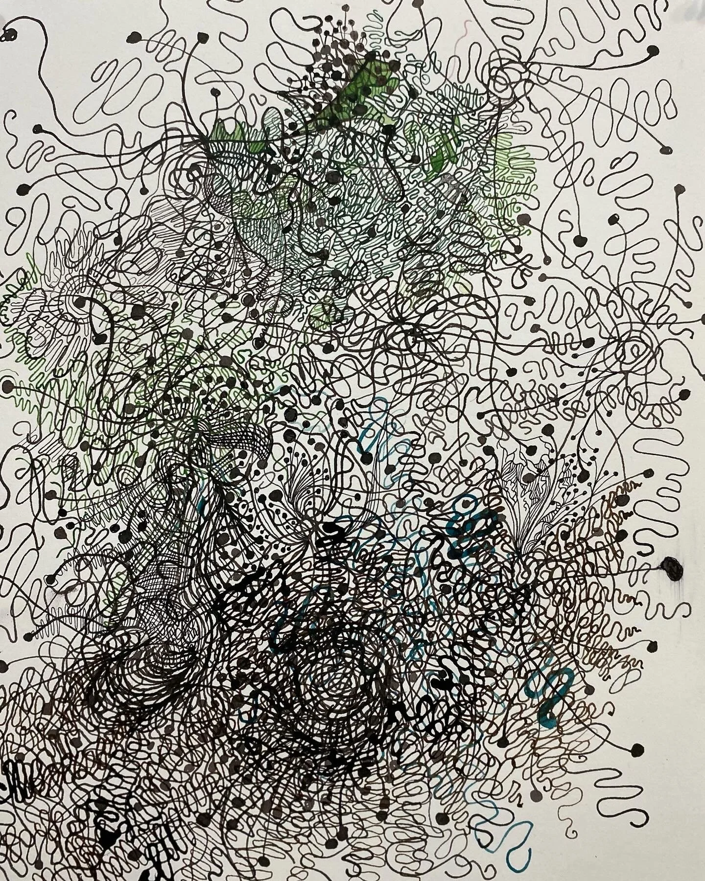 north branch no. 3, 2024, 15 x 11 inches, Walnut and black ink on paper. (Copy)