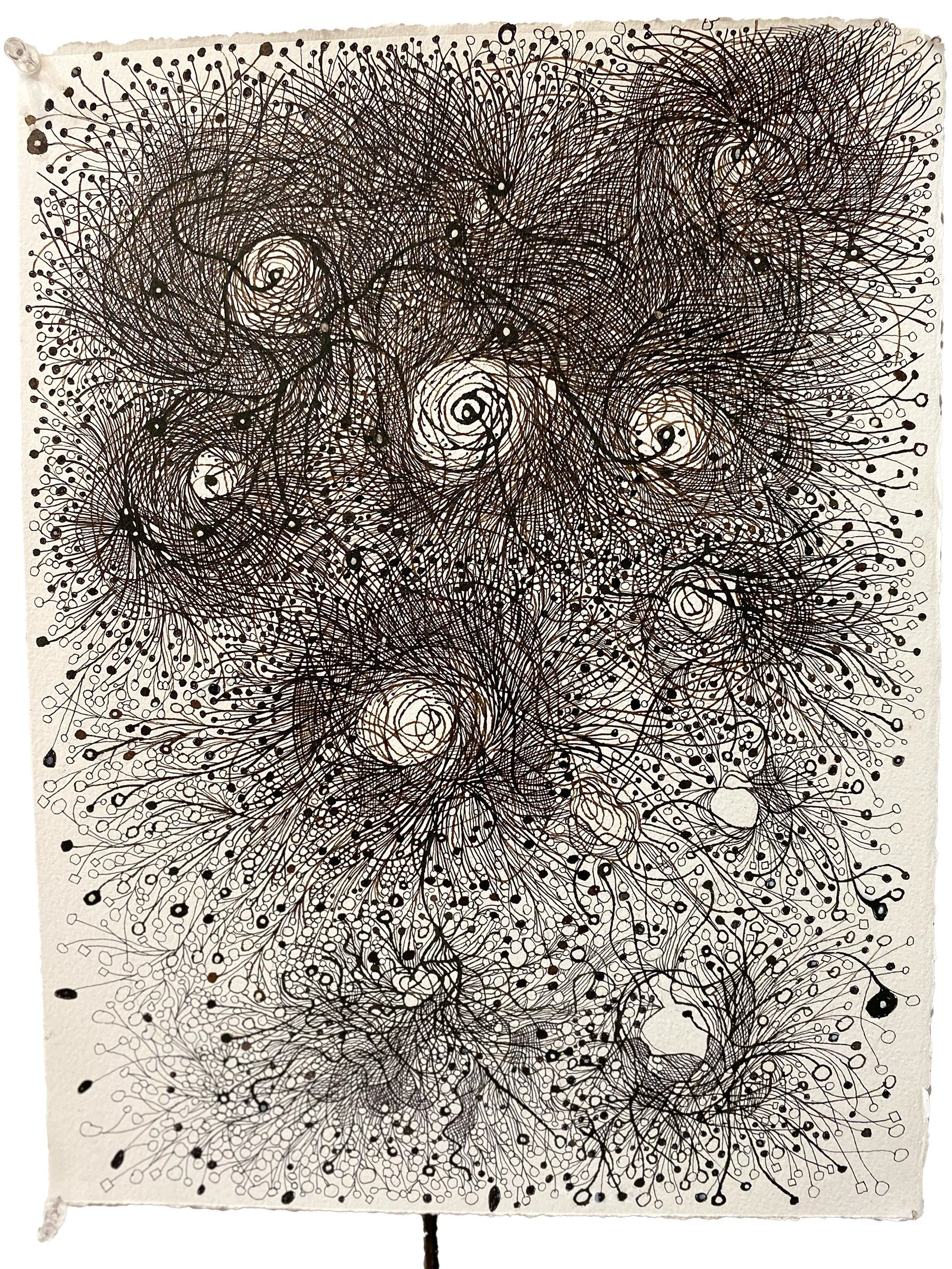 north branch no. 6 2024, 15 x 11 inches, Walnut and black ink on paper. (Copy)