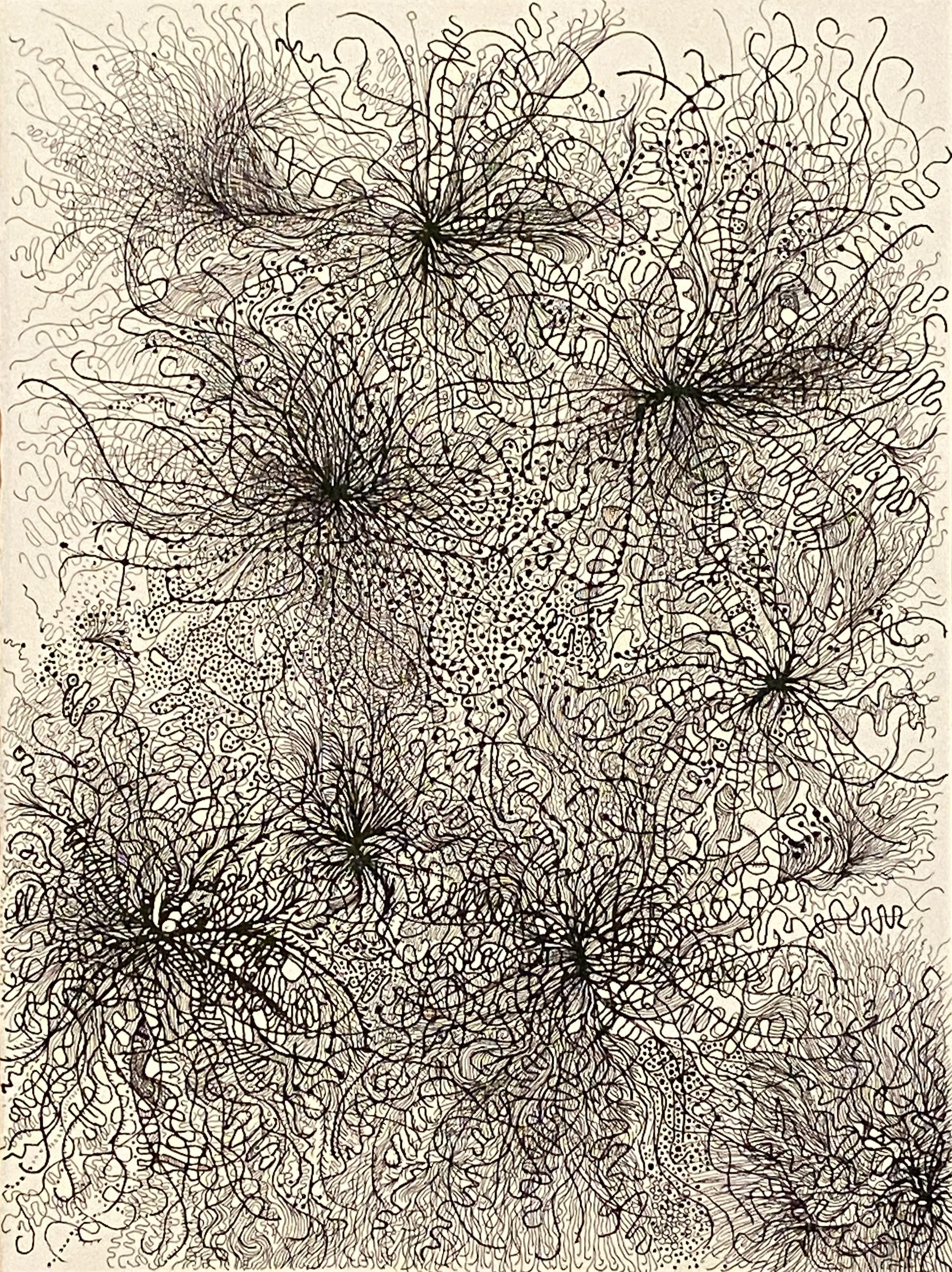 north branch no. 7, 2024, 15 x 11 inches, Walnut and black ink on paper. (Copy)