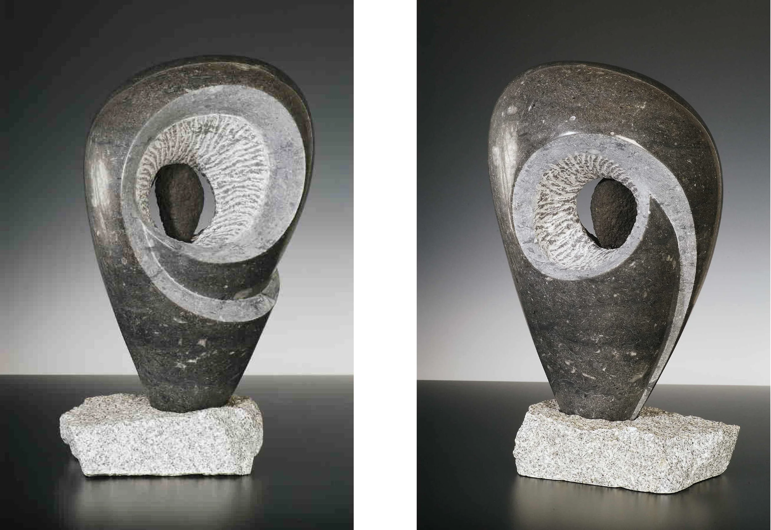 Standing Proud - 16 x 10 x 8 inches - Champlain Black marble with granite