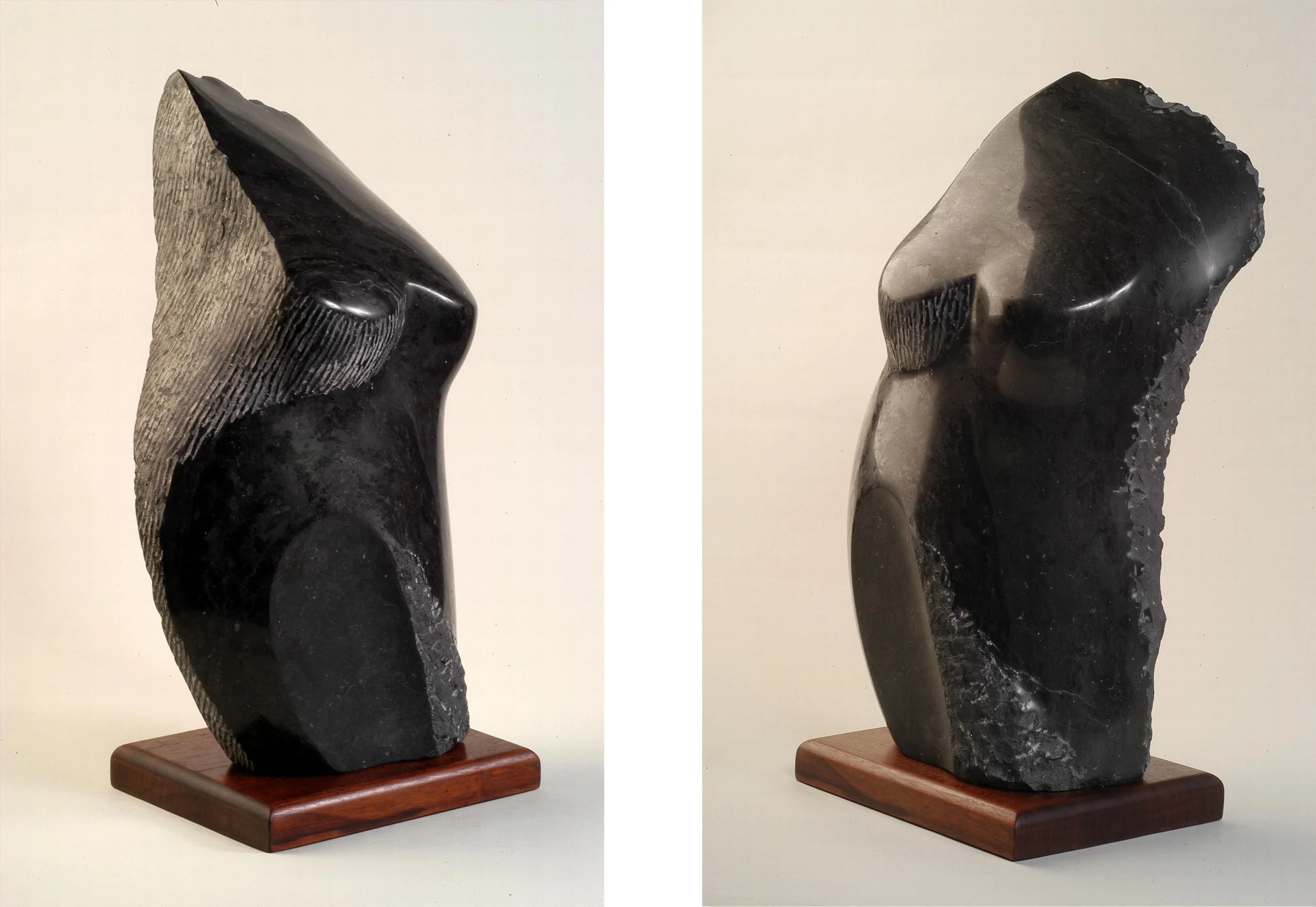 Midnight - 20 x 12 x 8 inches - Champlain Black marble - private collection