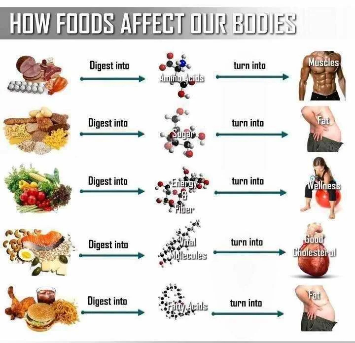 I'm not sure of the original source of this chart, but this gives a great breakdown of what happens to what you're putting into your body... choose wisely!