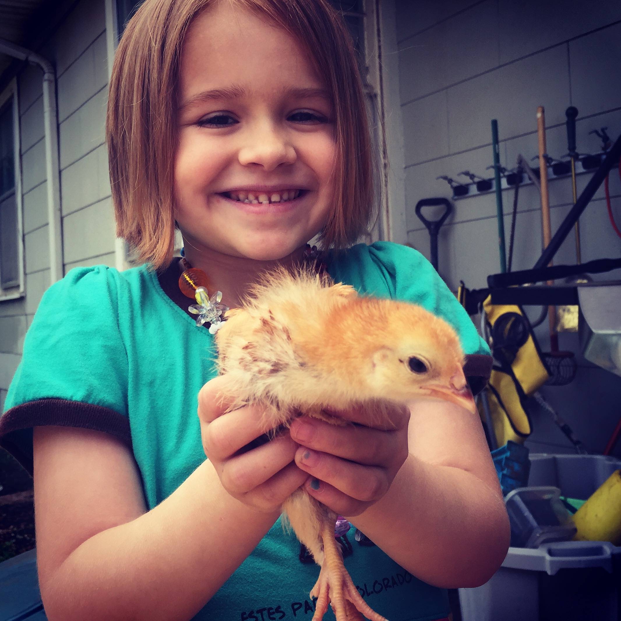 7 years old. You will have an amazing year my little girl.
