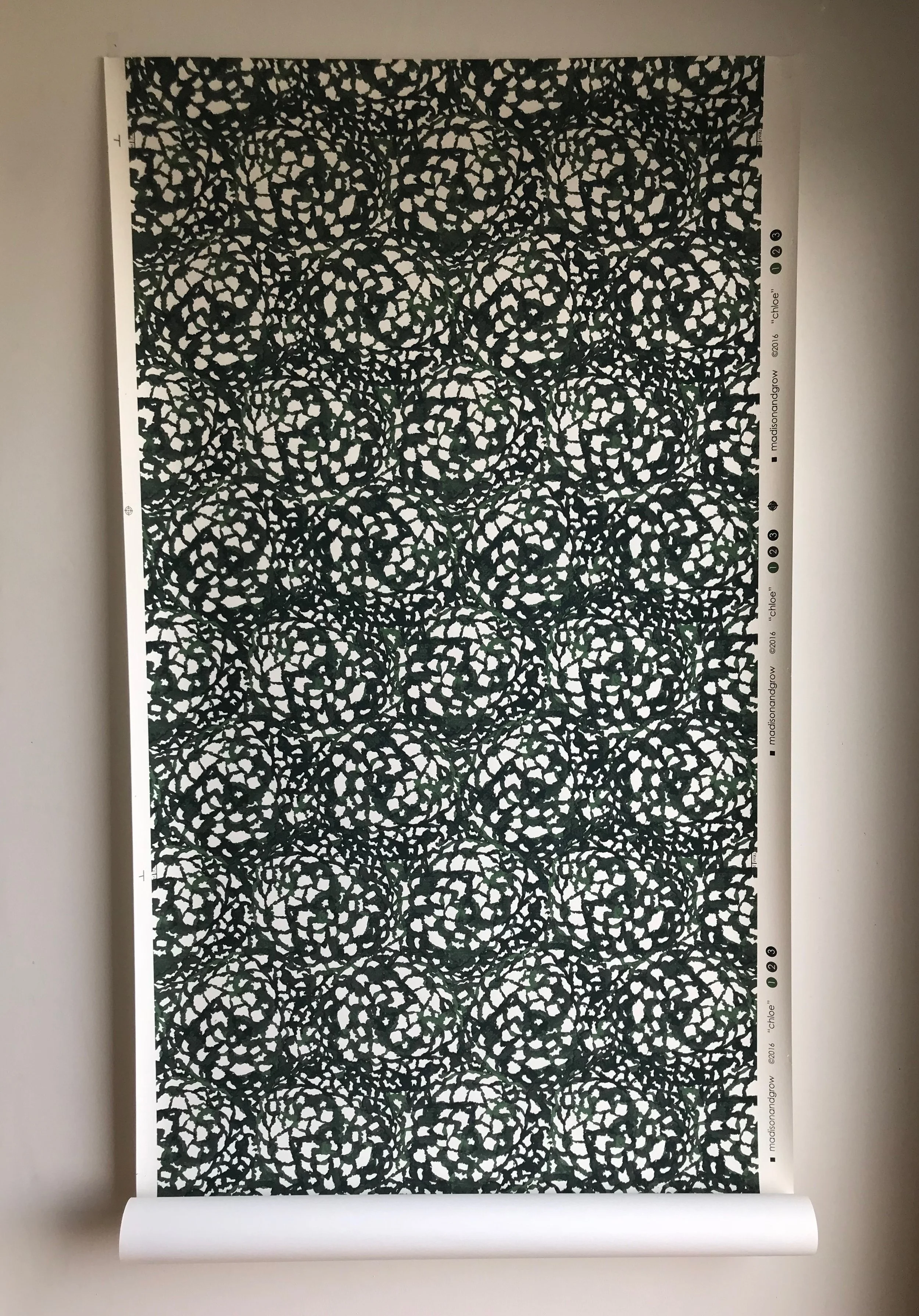 chloe | santa lucia fir