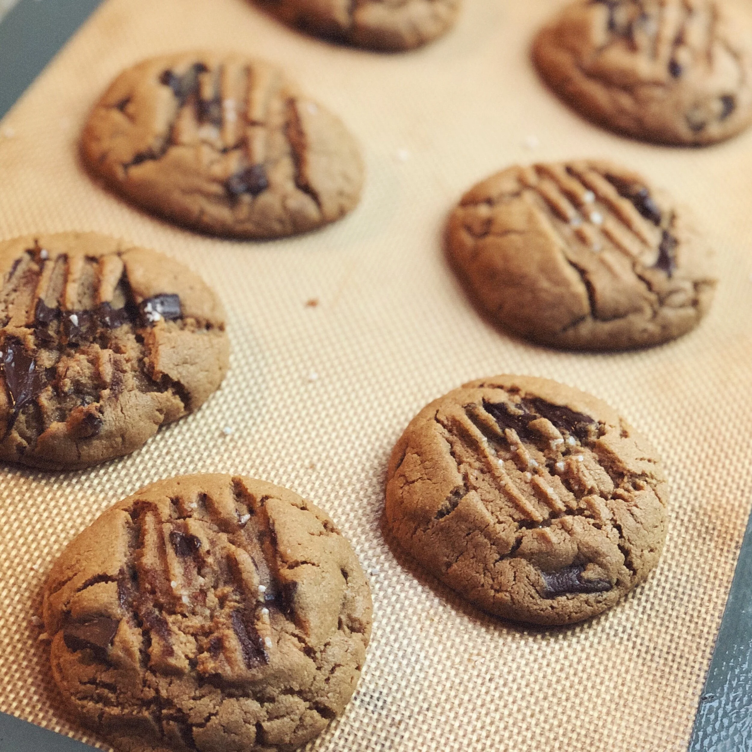 Flourless Peanut Butter Chocolate Chip Cookies