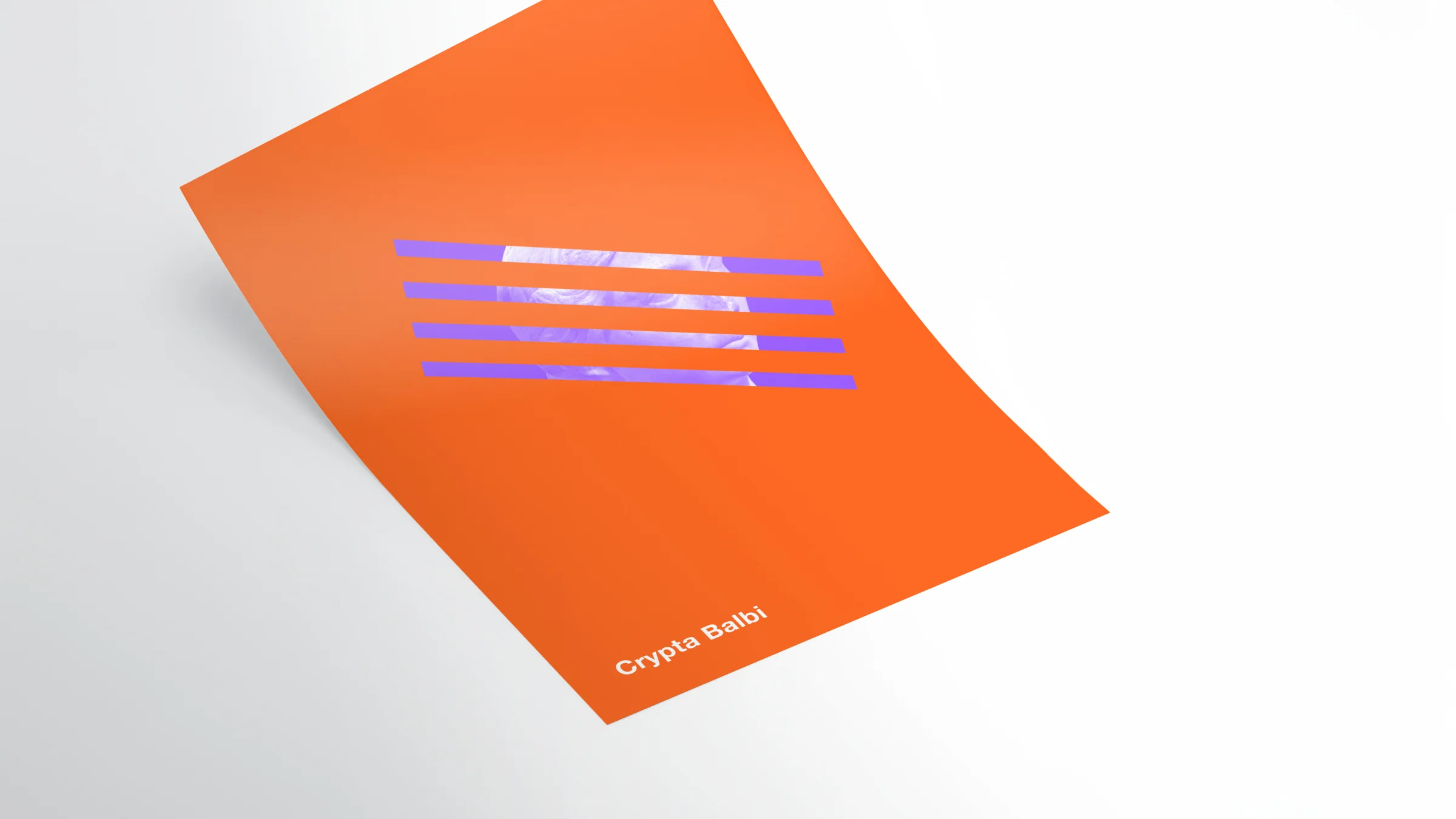 new_mockups.jpg