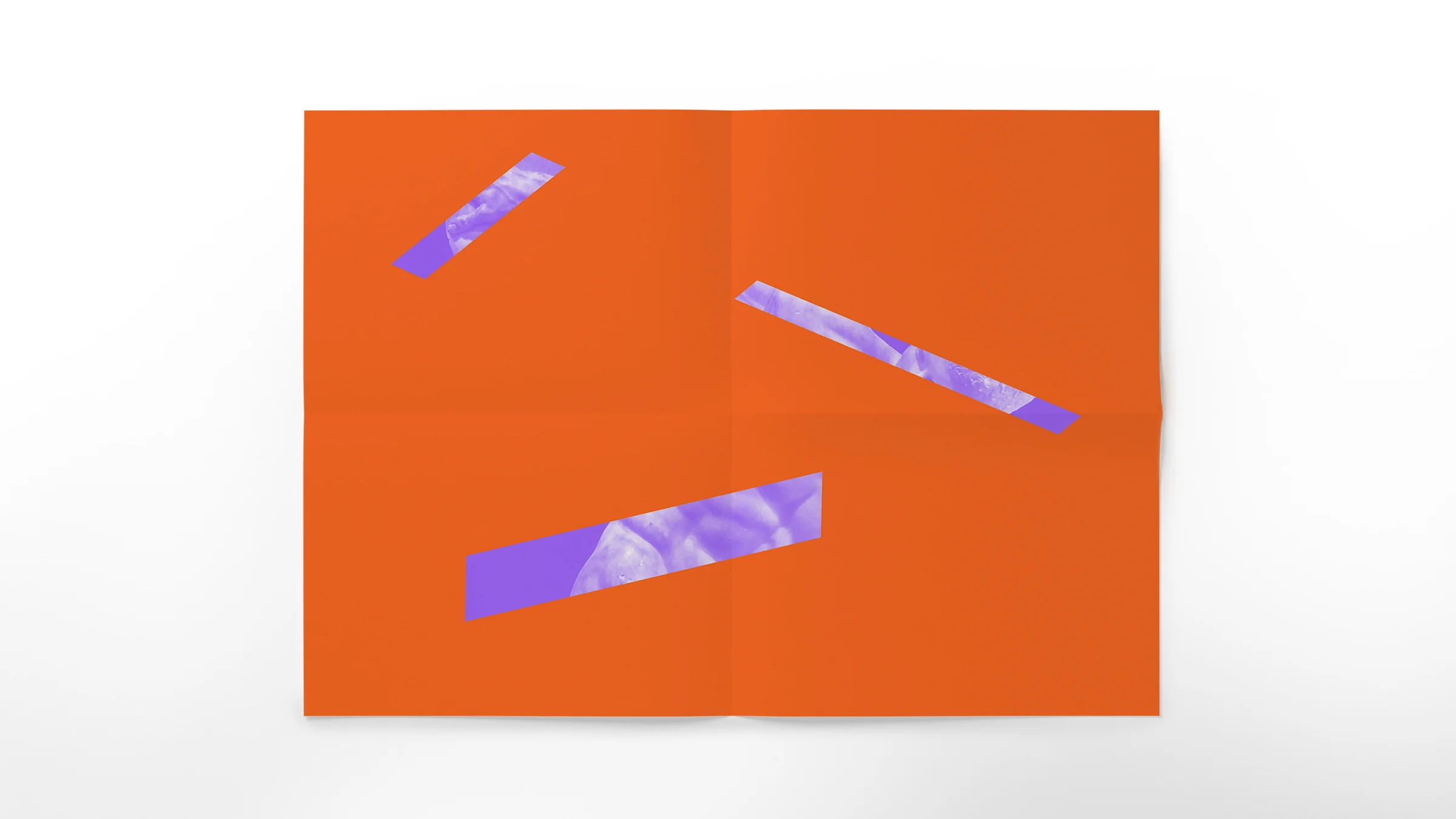 mockups2.jpg