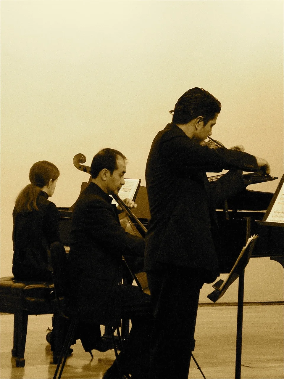 Onix-performance-sepia.jpg