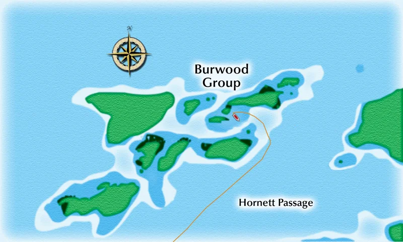 The Burwood Group