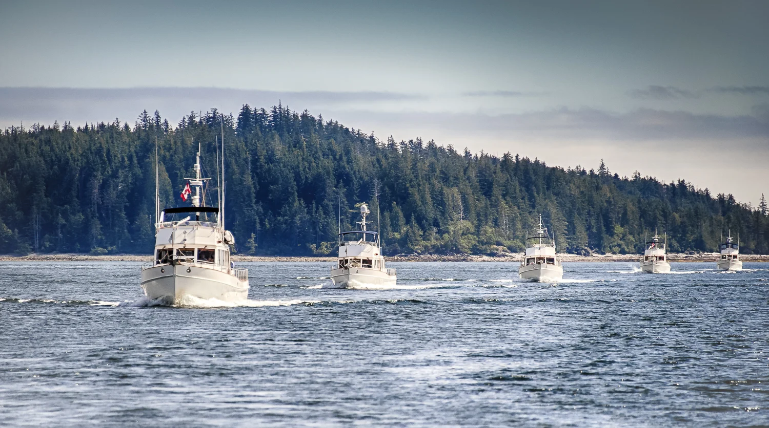 The fleet all lined up